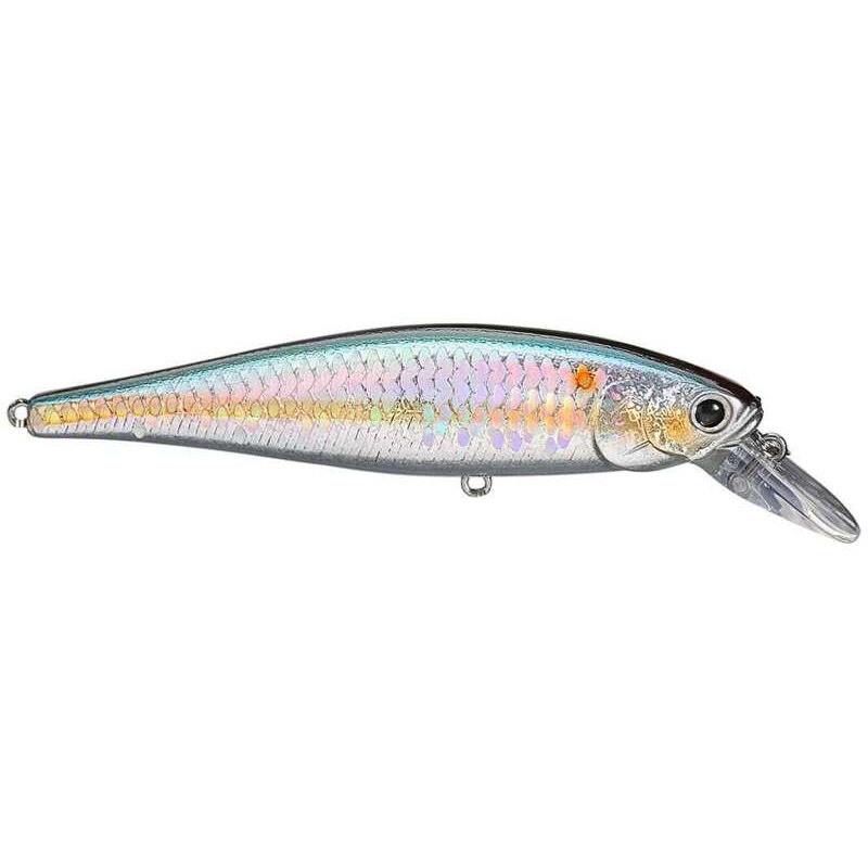 Pointer 100 SP