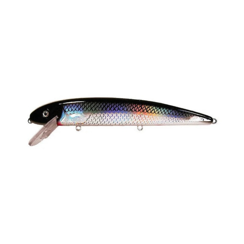 Musky Mania Jake Big Flash Series