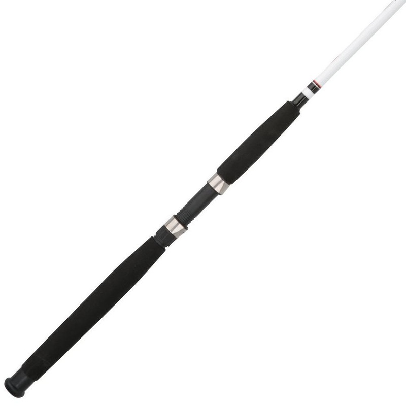 Berkley Big Game Spinning Rod