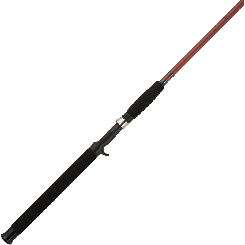 Wild Cat Casting Rod
