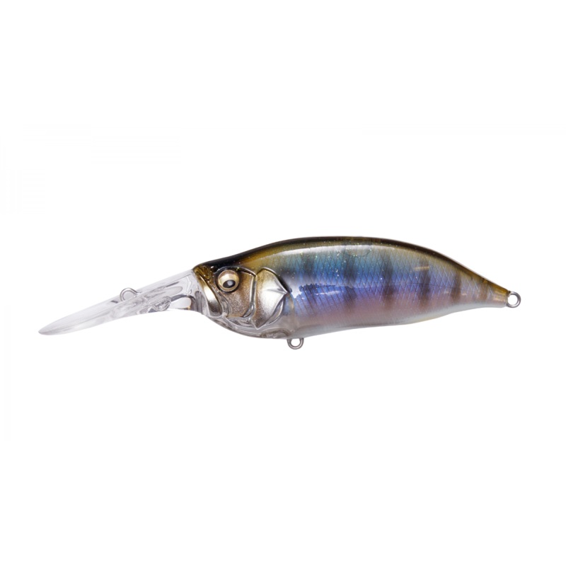 IXI Shad Type-3