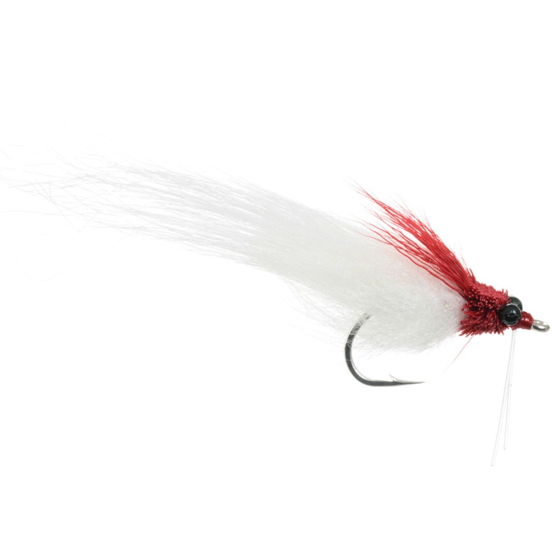 Student's Fishalicious - Umpqua Fly