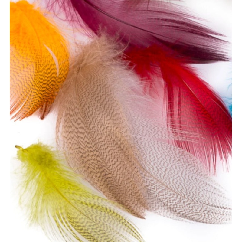 Wapsi Mallard Barred Flank - Large Selects