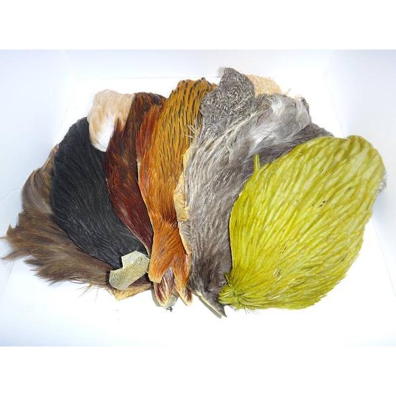 Whiting Farms 4 B's Hen Cape