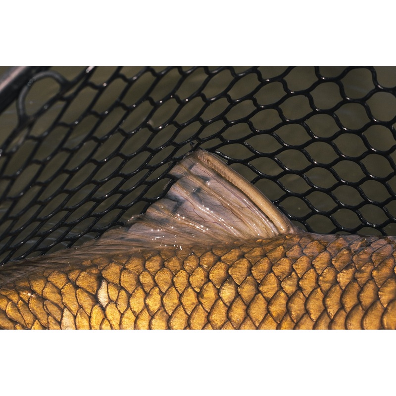 Carp - Custom Fly Selection