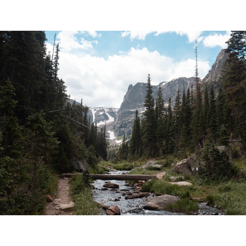 Poudre River Custom Fly Selection