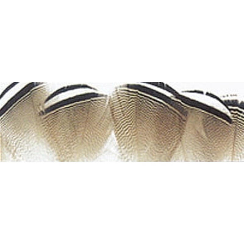 Wapsi Black & White Wood Duck Feathers
