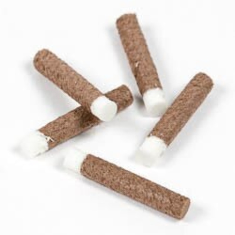 Wapsi Foam Ant Bodies