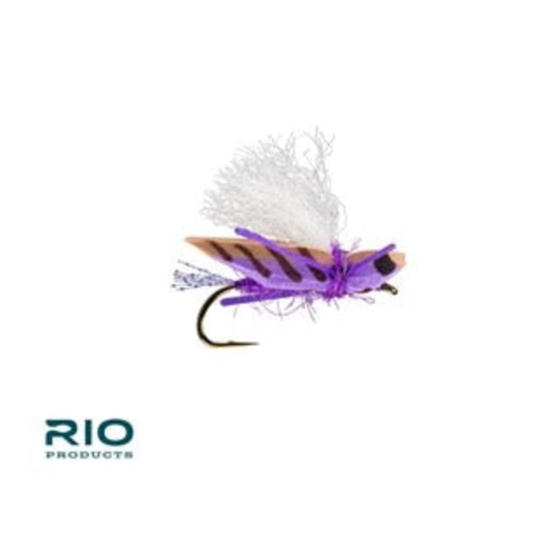 Blade Runner Hopper - RIO Fly