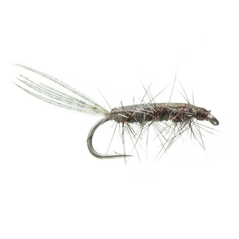 Rickard's Callibaetis - MFC Fly