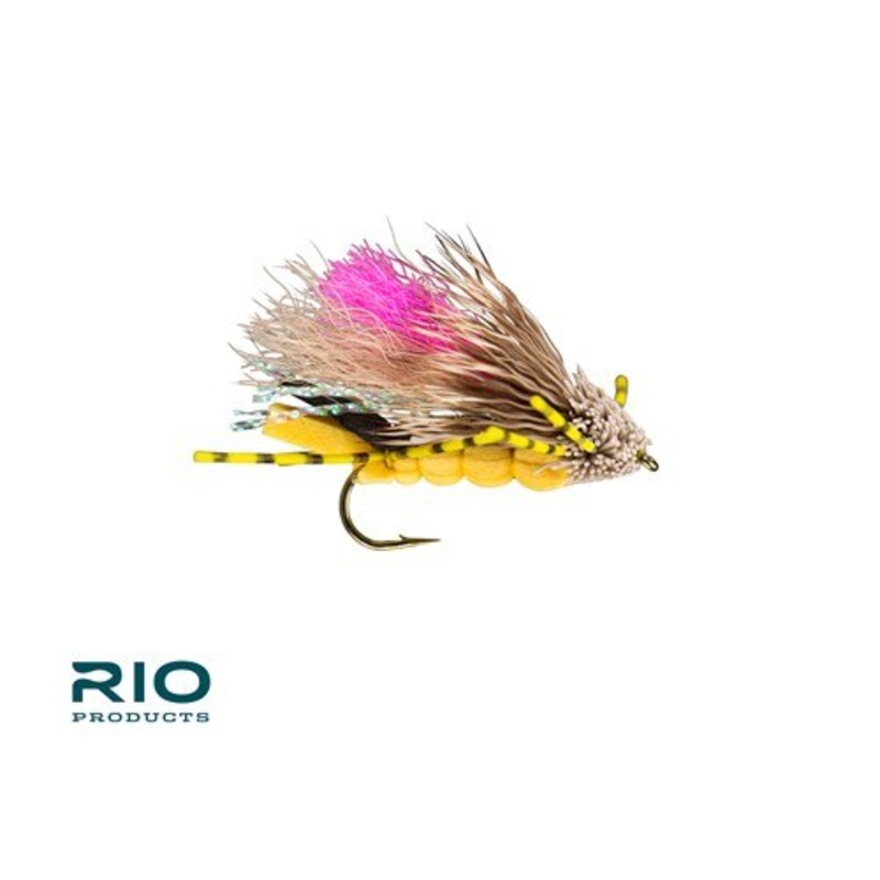 Tantrum - RIO Fly