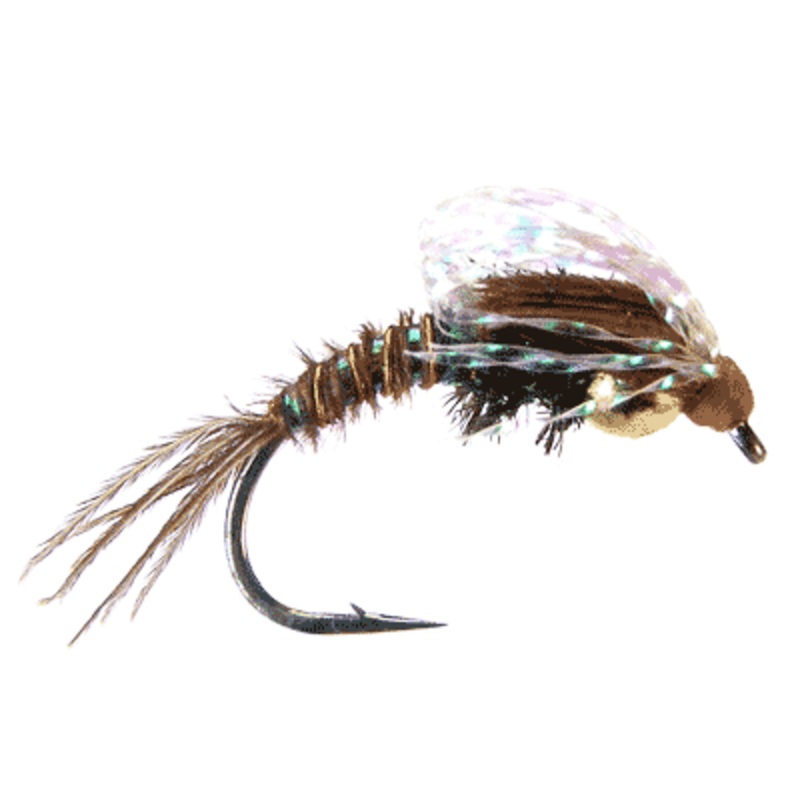 Trina's Bubbleback Emerger - MFC Fly