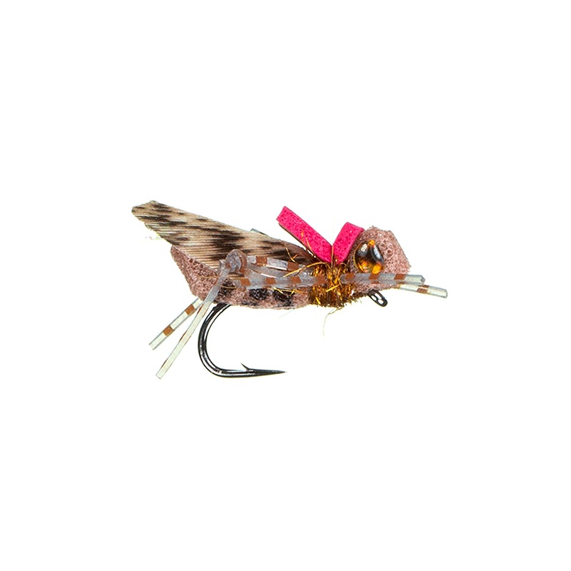 Wookie Hopper - MFC Fly
