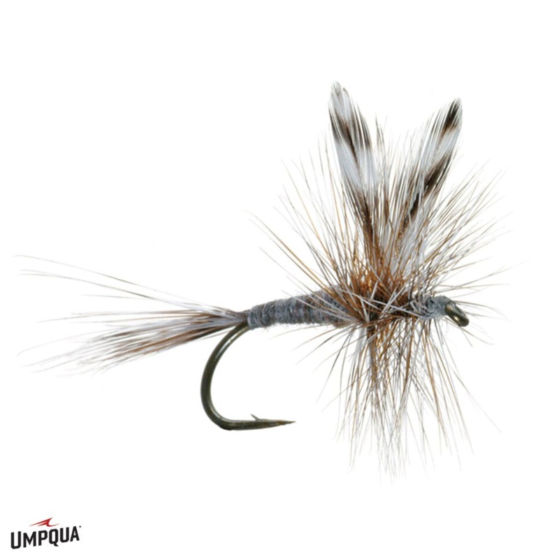 Adams - Umpqua Fly