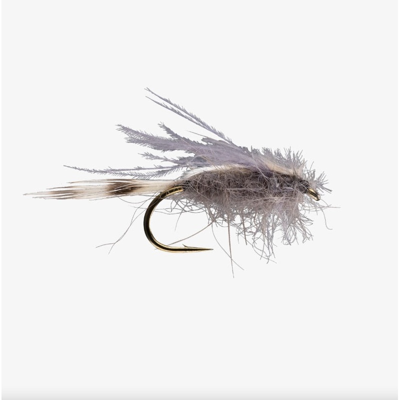 CDC Transition Midge - Rio Fly