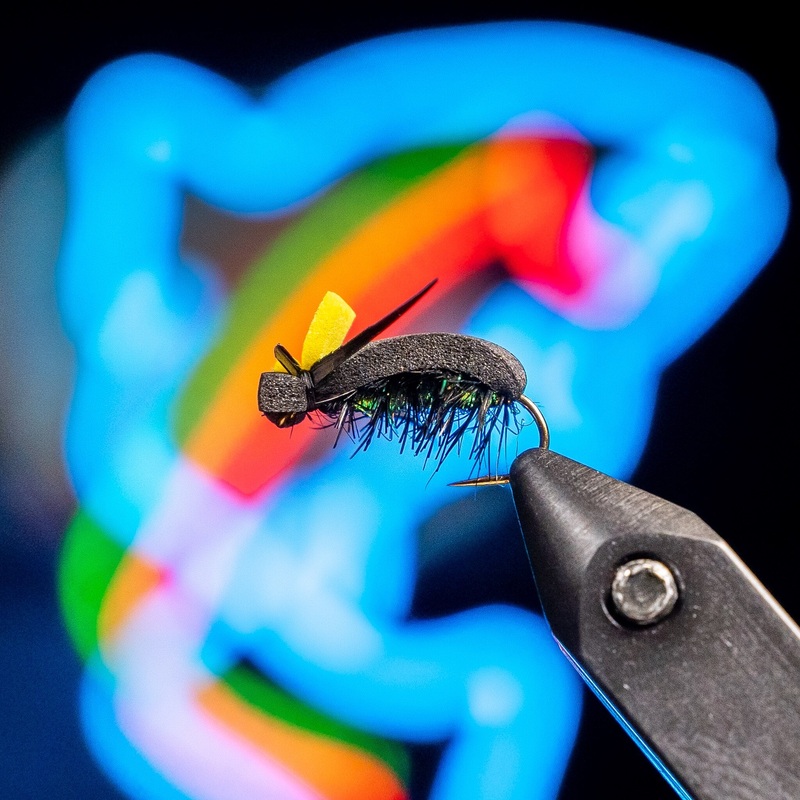 Harkins' Sneaky Pete Beetle - Solitude Fly