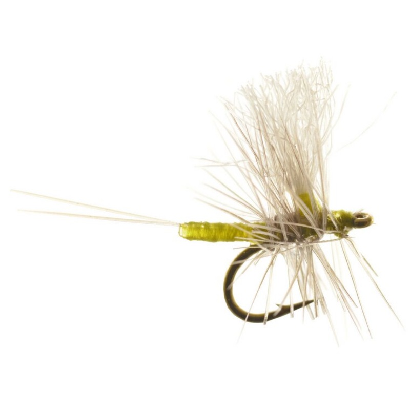 Iwan-E Dun Thorax - Umpqua Fly