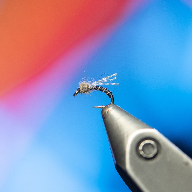 Johnston's Don King UV Midge - Solitude Fly