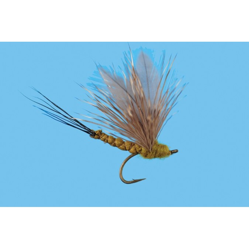 KGB Killer Green Bug - Solitude Fly
