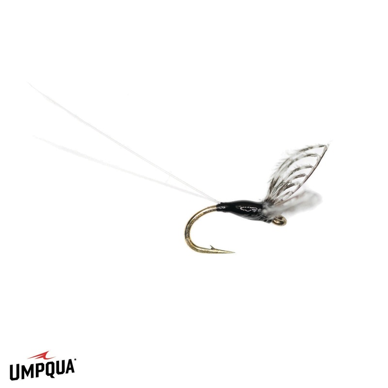 Maldo's Trico - Umpqua Fly