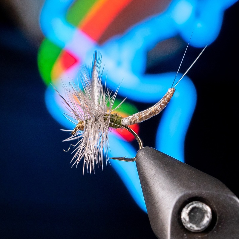 Parachute Extended Body BWO - Solitude Fly