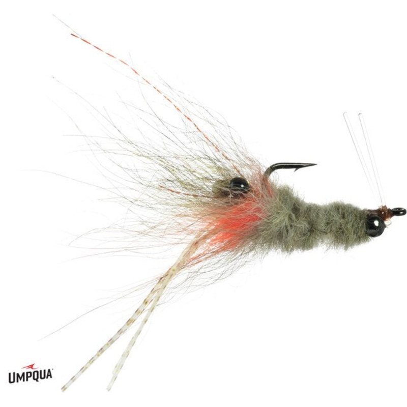 Chicone's Coyote Spawn Shrimp - Umpqua Fly