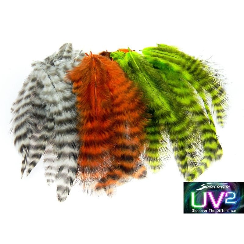 Spirit River UV2 Grizzly Soft Hackle