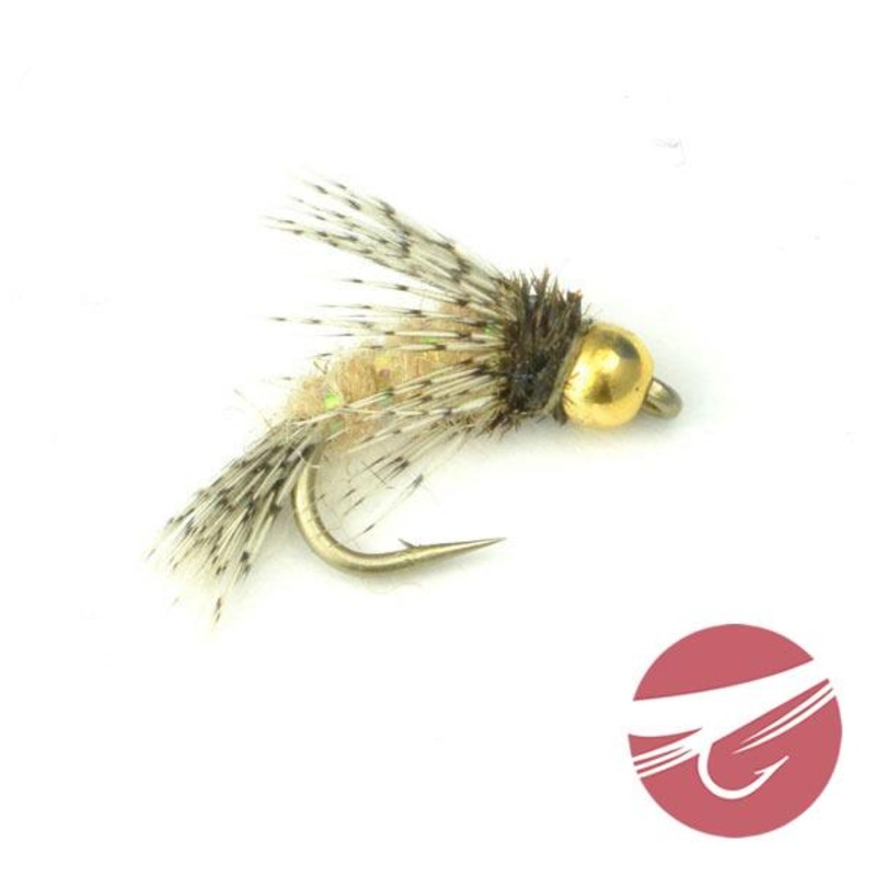 Bird of Prey - MFC Fly