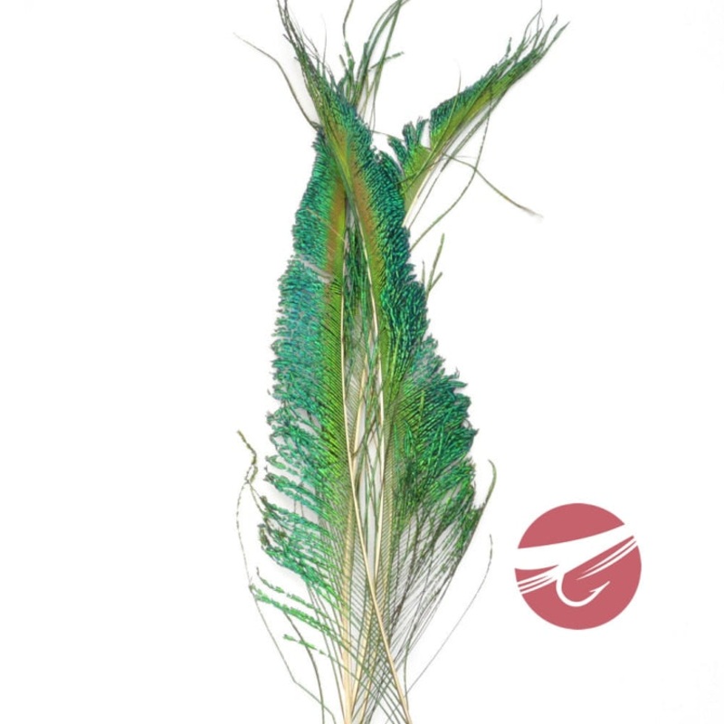 Nature's Spirit Peacock Swords