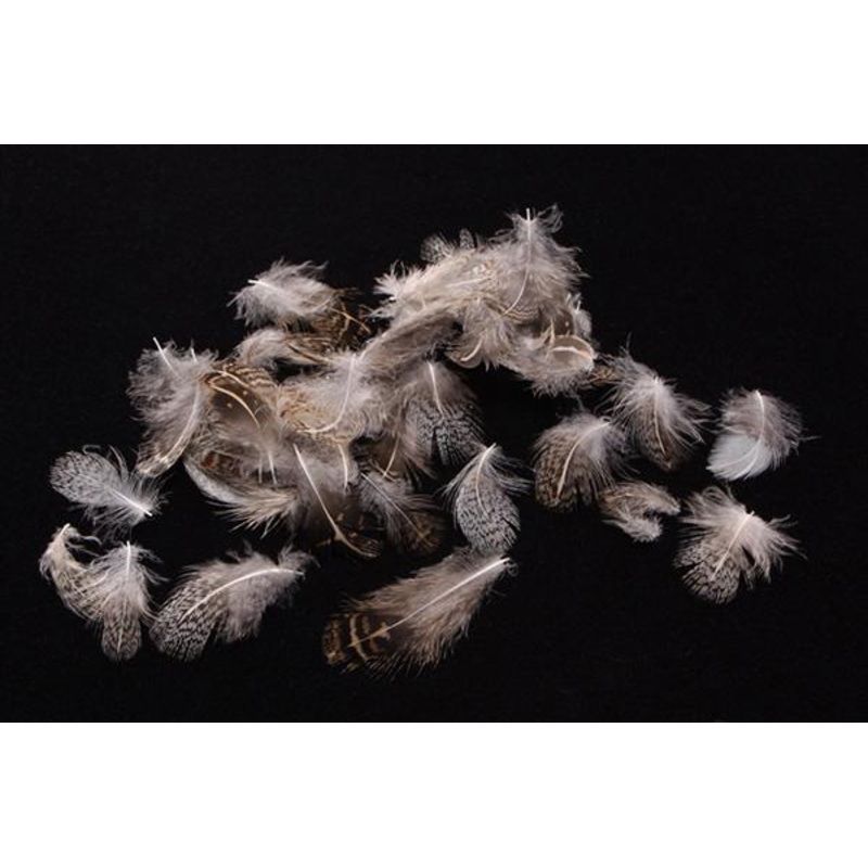 Nature's Spirit Premium Partridge