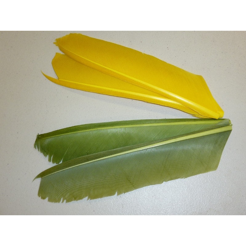 Nature's Spirit Turkey Biot Quill Pieces