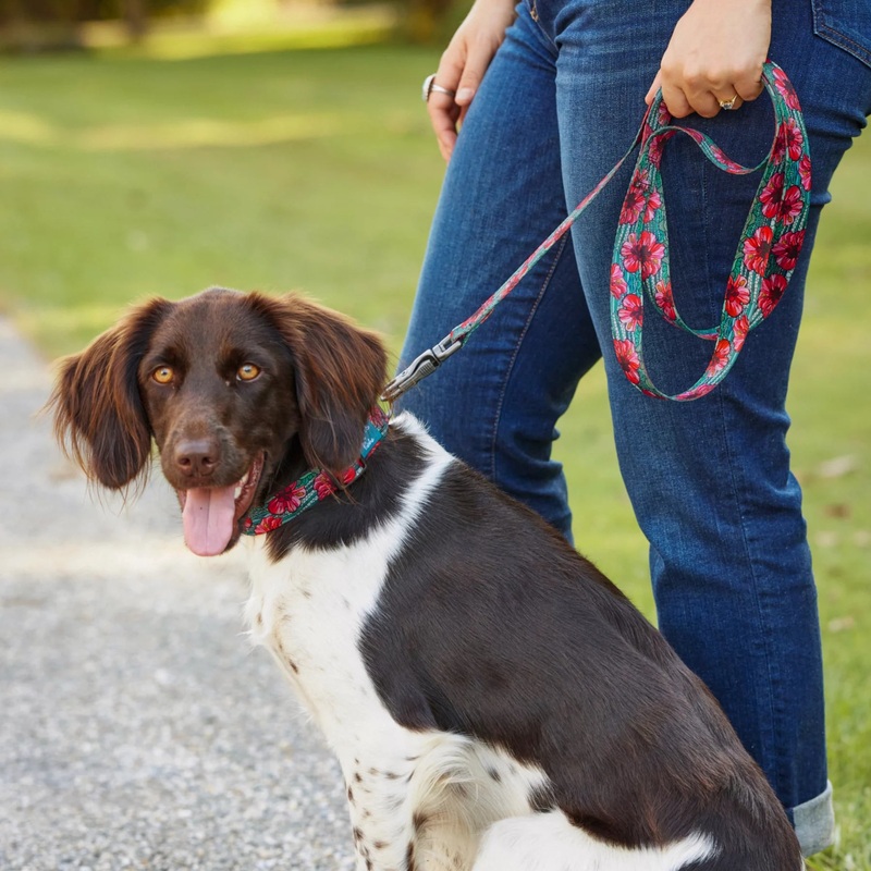 Orvis x Fishe Wear Collar