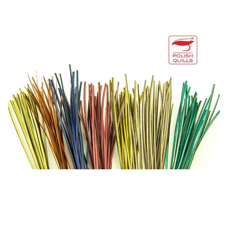 Polish Hand Stripped Peacock Quills