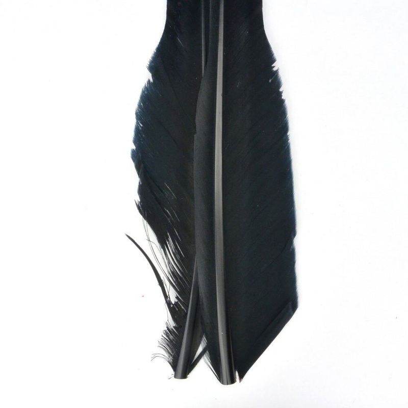 Nature's Spirit Goose Quills