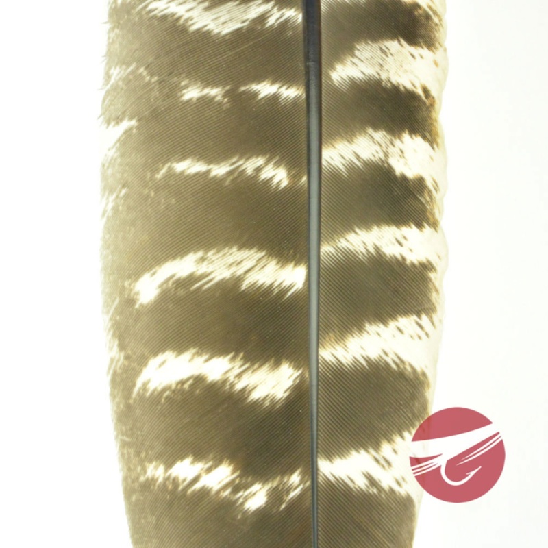 Nature's Spirit Select Ozark Barred Turkey Quills