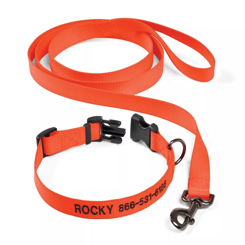 Orvis Adjustable Dog Collar with Leash