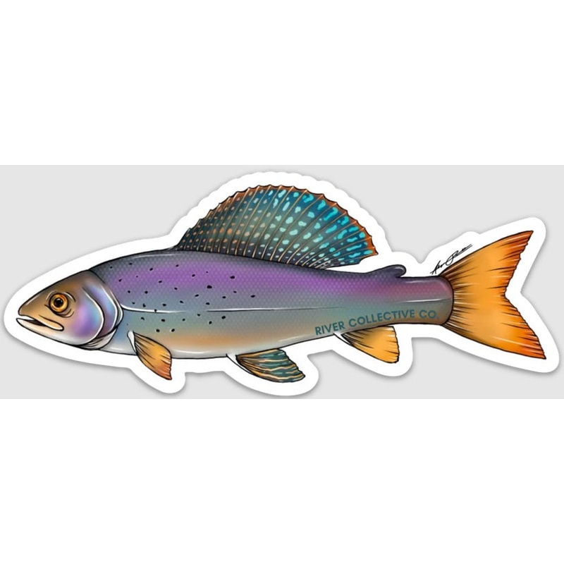 River Collective Co. Trout Stickers