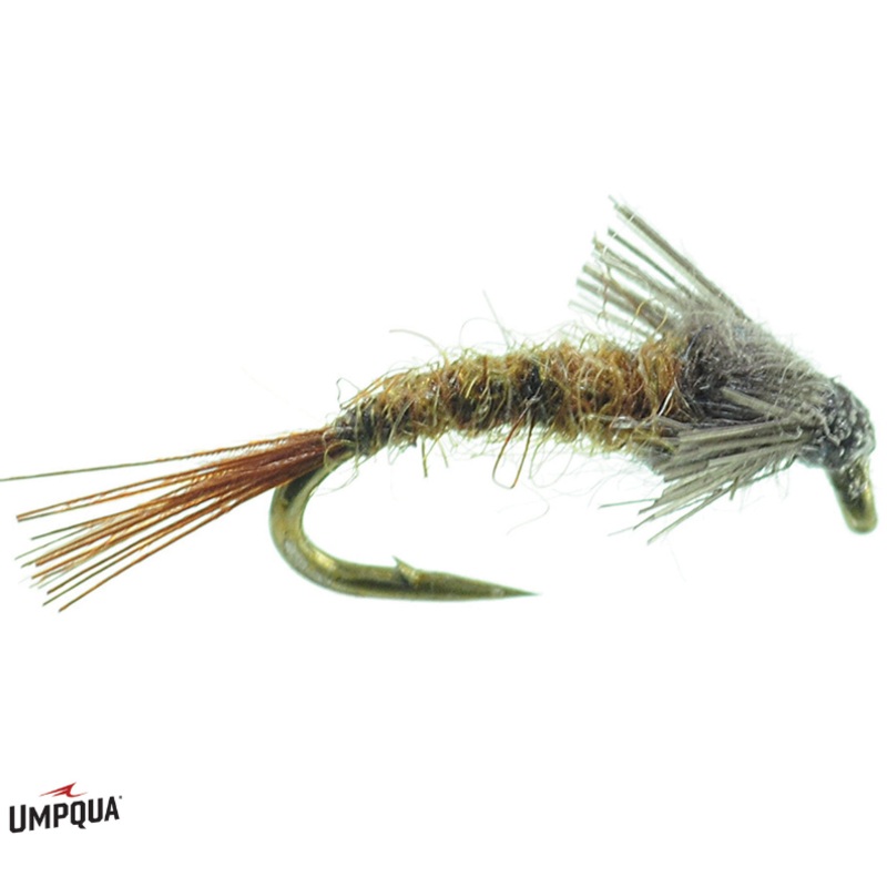 Barr's Emerger Wet - Umpqua Fly