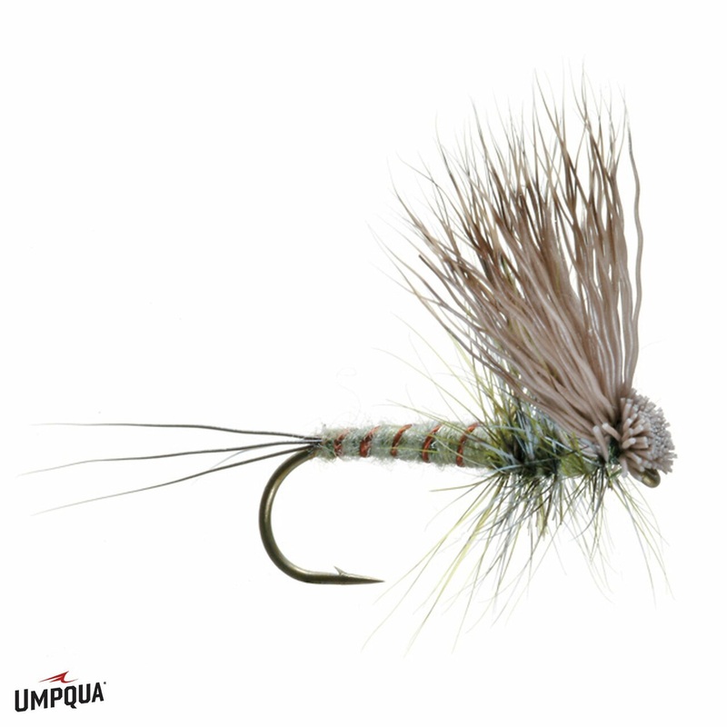 Hairwing Green Drake Dun - Umpqua Fly