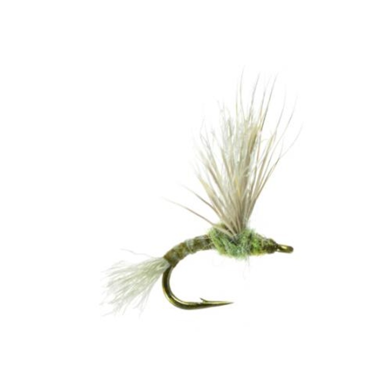 Improved Sparkle Dun - Umpqua Fly