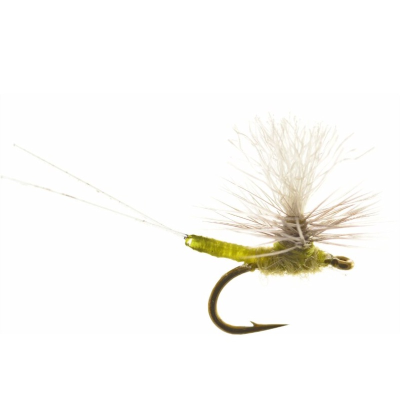 Iwane's Iwan-E Dun Para - Umpqua Fly