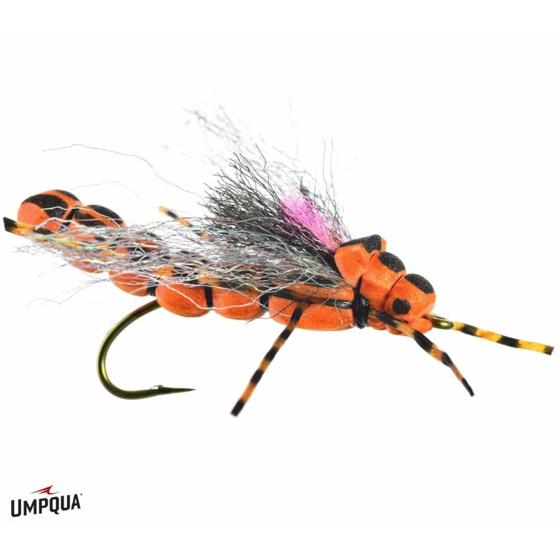 Morningwood Special - Umpqua Fly