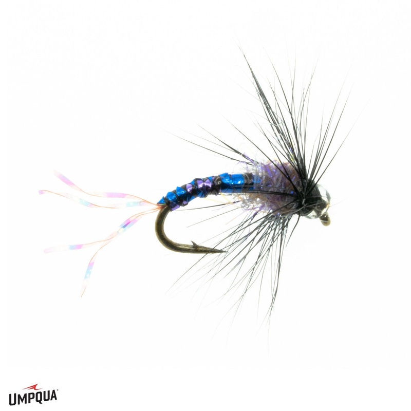 Purple Haze - Umpqua Fly