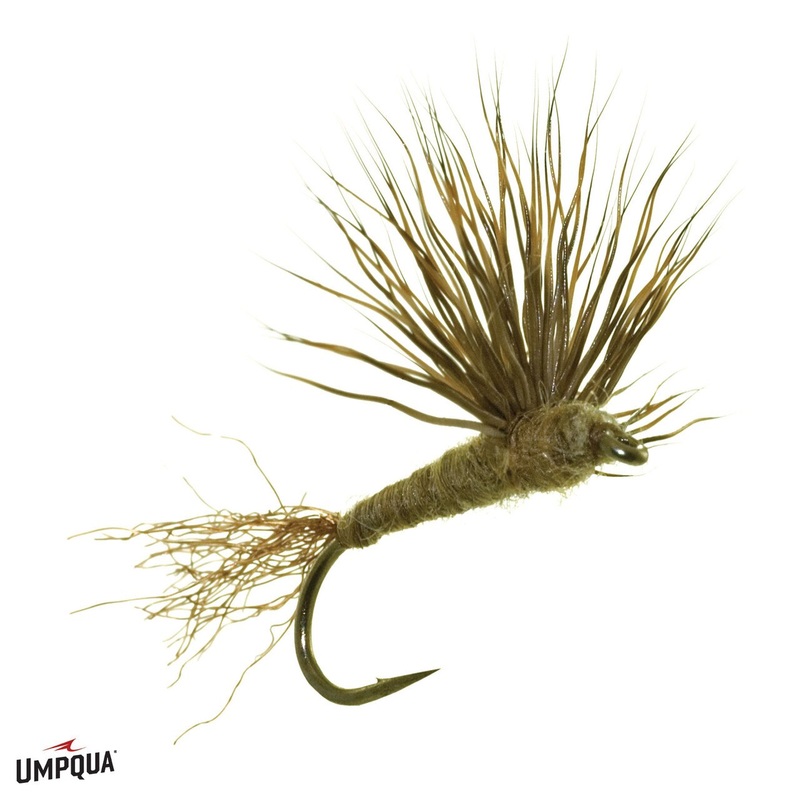 Sparkle Dun - Umpqua Fly