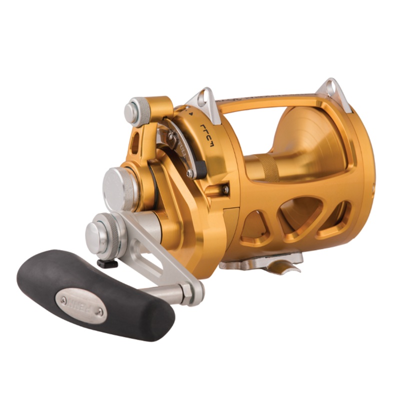 Penn International VISW 80 2 Speed Conventional Reel | INT80VISW