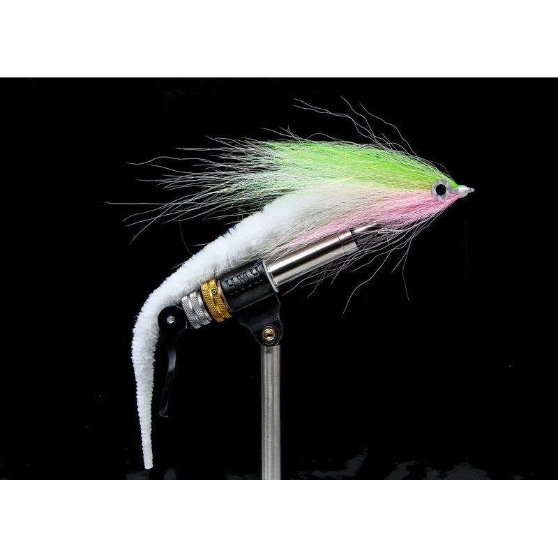 Nichols' Striper Dragon Tail