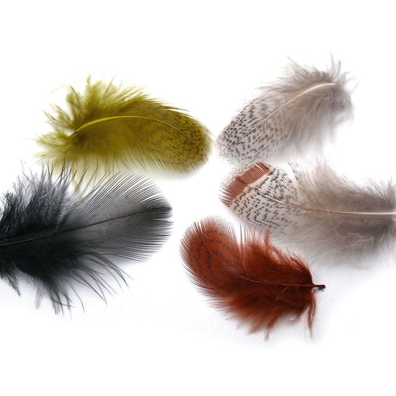 Premium Hungarian Partridge Feathers