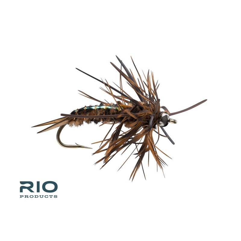 Speculator (Bead Head Nymph)