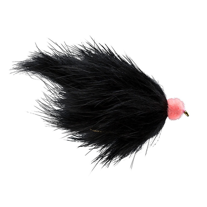 Egg Sucking Leech