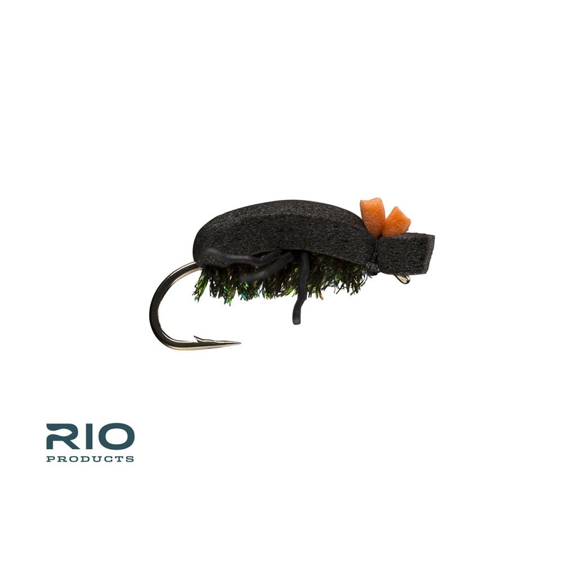 Foam Beetle